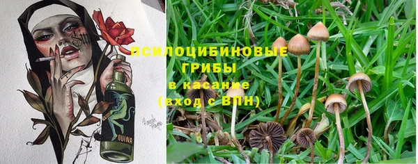 jwh Нефтекумск