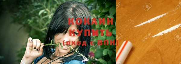 МДПВ Нефтегорск