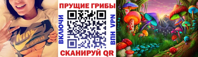 OMG tor  Шатура  Галлюциногенные грибы MAGIC MUSHROOMS  даркнет сайт 
