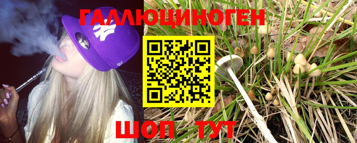 Псилоцибиновые грибы Magic Shrooms  наркота  Галлюциногенные грибы Cubensis  Шатура  Вход с VPN 